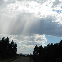 rain